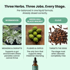 Figast Black Walnut Wormwood Clove Parasite Cleanse